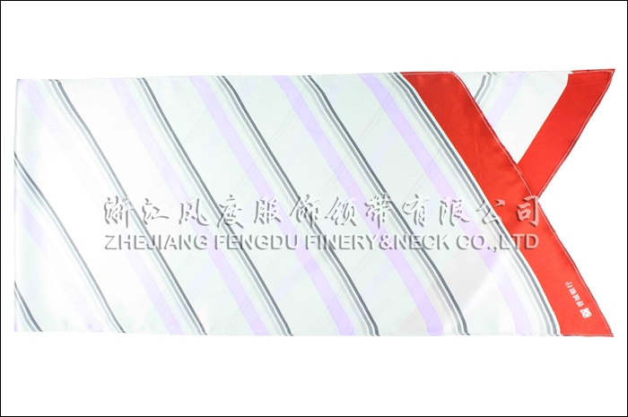6180368_番城银行真丝中长巾-3.jpeg